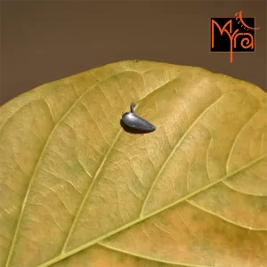 Long Teardrop Nosepin