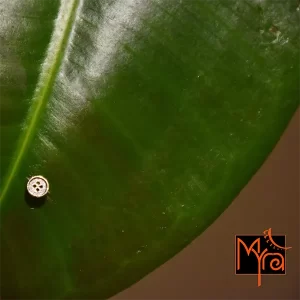 Button Nosepin